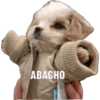 Perritos 1 30