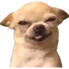 Perritos 1 26