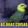 Normais 24