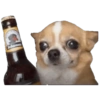 Perritos 1 22