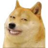 Perritos 1 14