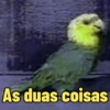Normais 18