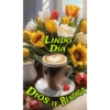 Buenos Días  18