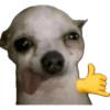 Perritos 4 27