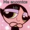 Bellota 12