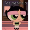 Bellota 7