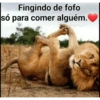 Gracinha 11