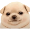 Perritos 4 28