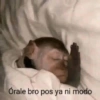 Preutti 11
