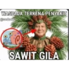 Random Memes VI 11