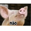 Porquinho 2 14