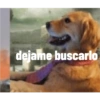 Perros graciosos 3 11