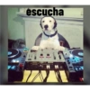 Perros graciosos 3 15