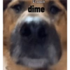 Perros graciosos 3 18
