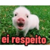 Porquinho 2 27