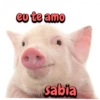 Porquinho 2 25