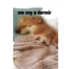 Perros graciosos 3 13