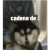 Perros graciosos 3 5