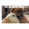 Perros graciosos 3 9