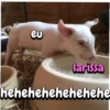 Porquinho 2 20