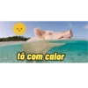 Porquinho 2 28