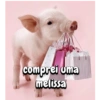 Porquinho 2 19