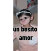 Armas evolutivas 29