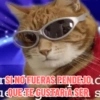 Paquete pongas 20