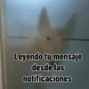 Paquete pongas 25