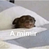 Paquete pongas 24