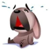 ／ Mugsy ᰊ   ׅ     ˙   9