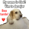 Otavio 97 8