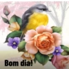 Otavio 97 16