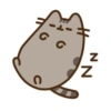 Pusheen  7