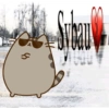 Pusheen  6
