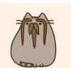 Pusheen  9
