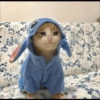 ANIMES ALEATÓRIOS 5 24