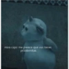 Por favor 5
