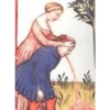 Arte 23