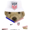 Perritos copa América 5