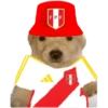 Perritos copa América 11