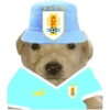 Perritos copa América 12