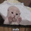 MEMES ALEATÓRIOS  11