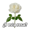 Casi no, pero hay más memes 25