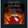 Armas evolutivas 13