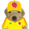 Perritos copa América 6