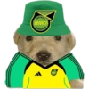 Perritos copa América 13