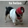 Tu pack  28