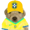 Perritos copa América 10