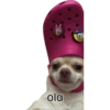 Shitpost Cuaad  24